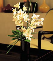  Mersin hediye iek yolla  cam yada mika vazo ierisinde dal orkide