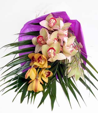  Mersin internetten iek siparii  1 adet dal orkide buket halinde sunulmakta